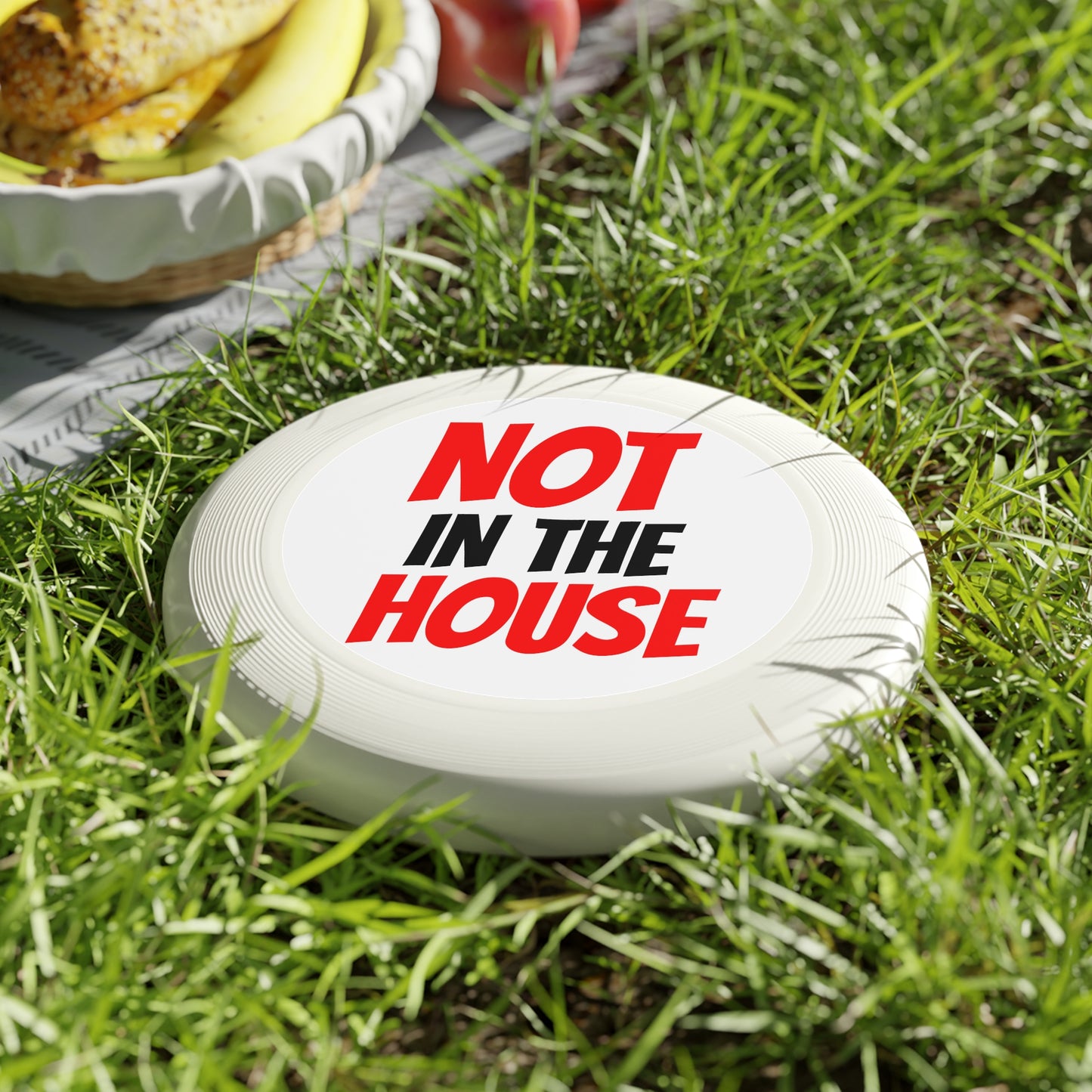 "Not In The House" Frisbee